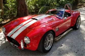 1967Cobra